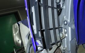 YAMAHA WR250R 2019 DG15J