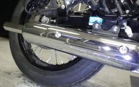 KAWASAKI W800 CAFE 2021 EJ800B