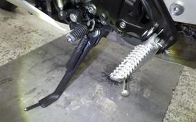 YAMAHA XSR900 2024 RN80J