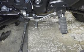 KAWASAKI NINJA 1000SX 2024 ZXT02K