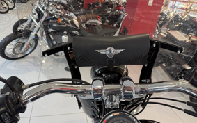 HARLEY FLSTFB 2010 JN5