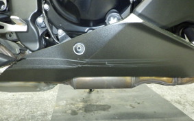 KAWASAKI NINJA 1000SX 2024 ZXT02K
