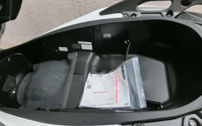 HONDA  FORZA 250 MF17