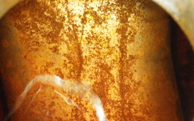 HONDA MONKEY BAJA 1994 Z50J