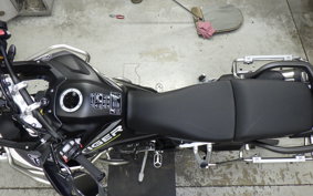 TRIUMPH TIGER900 RALLYARACO 2024