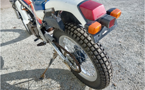 HONDA TLR250R MD18