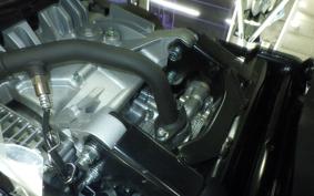 YAMAHA CYGNUSｸﾞﾘﾌｧｽ SEJ4J