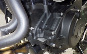 KAWASAKI Z250 Gen.2 2026 EX250Y