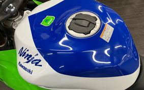 KAWASAKI NINJA ZX-6R 2024 ZX636J
