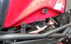 OTHER +メガリ250R