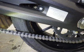 DUCATI SCRAMBLER ICON 2024