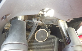 KAWASAKI NINJA 250 BX250A