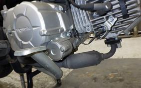 HONDA ｸﾛｽｶﾌﾞ50 AA06