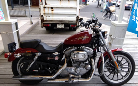 HARLEY XL883L 2009 CR2