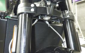 TRIUMPH TRIDENT 800 2026