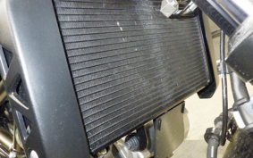 SUZUKI SV650 A 2024 VP55E