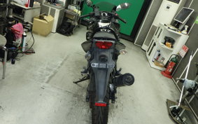 KAWASAKI NINJA 250R 2020 EX250K