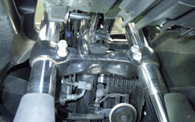 SUZUKI ｼﾞｸｻｰ250 ED22Y