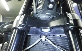 TRIUMPH SPEED TRIPLE RS 2020