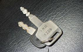 OTHER UNREGISTERED MODEL by BDS125 TRIKE 1999