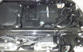 HARLEY FXST1750 2023