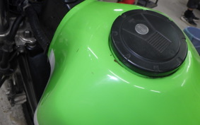 KAWASAKI SUPER SHERPA 2020 KL250G