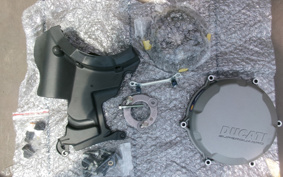 DUCATI  DUCATI PANIGA-REV2 2020 1H00