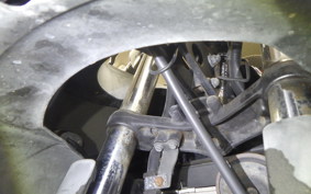 KAWASAKI NINJA 250R 2025 EX250K