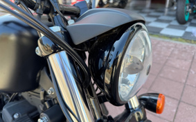 HARLEY XL883N 2010 LE2