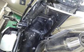 KAWASAKI KLX250D TRACKER X LX250V