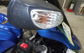 SUZUKI GSX-R1000 2010