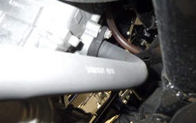 YAMAHA X-MAX 250 Trike 2019 SG70J