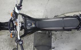 YAMAHA WR250X 2020 DG15J