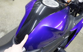 YAMAHA YZF-R25 RG43J