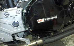 KAWASAKI GPZ900R NINJA 2024 ZX900A