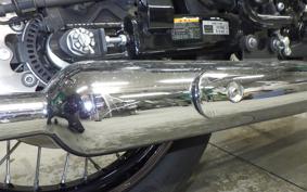 KAWASAKI W800 CAFE 2020 EJ800B