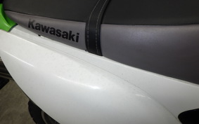 KAWASAKI KLX125 2024 LX125C