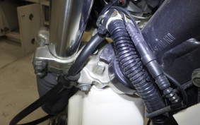 KAWASAKI SUPER SHERPA KL250G