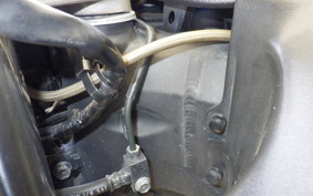 HONDA CBR1100XX 2001