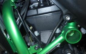 KAWASAKI ZH2 2020 ZRT00K