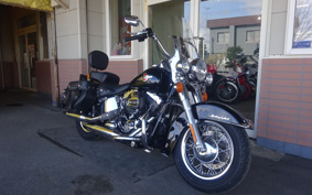 HARLEY FLSTC 2017 BWV