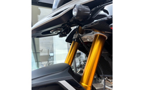 TRIUMPH TIGER 900 RALLY PRO 2025 TRC83D