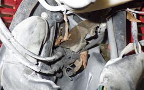 HONDA MOTOCOMPO AB12