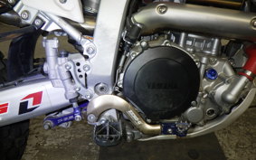 YAMAHA WR250R 2021 DG15J