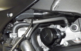 KAWASAKI NINJA ZX-6R A 2025 ZX636J