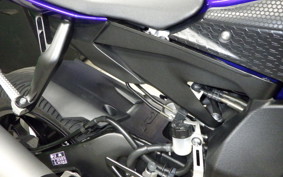 YAMAHA YZF-R1 2019