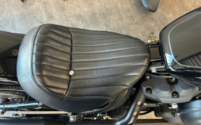 HARLEY FXBB 2020 YJJ