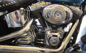 HARLEY HARLEY FLSTF1340-1450 2010 BW5