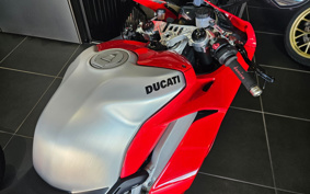 DUCATI PANIGA-REV4 2019 DA00J
