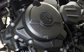 KAWASAKI Z250 Gen.2 2024 EX250Y